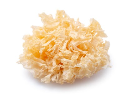 흰목이버섯 엑소좀