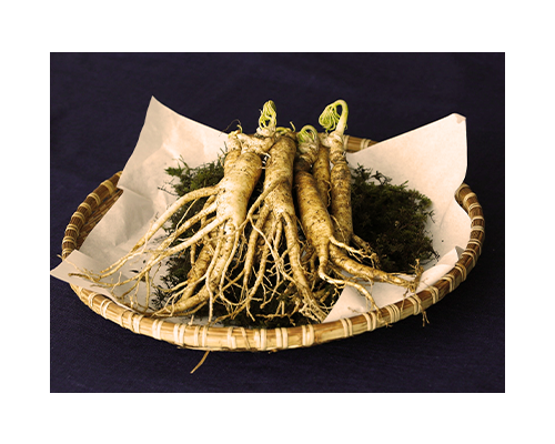 Fermentoil Red Ginseng