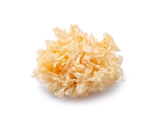 Snow Fungus Exosome