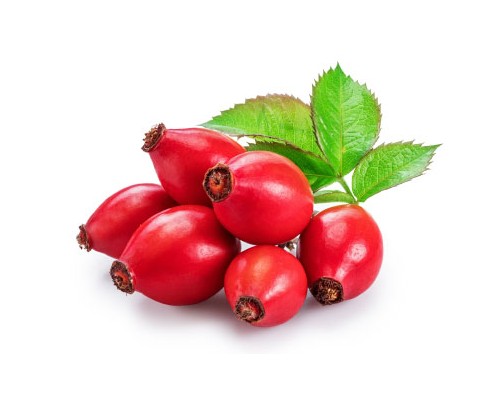 Rosehip Exosome