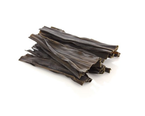 Kelp Exosome